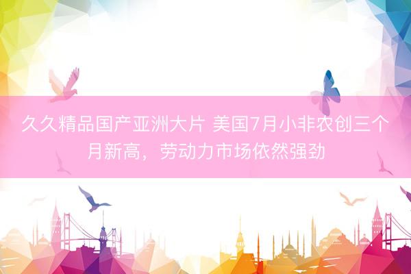 久久精品国产亚洲大片 美国7月小非农创三个月新高，劳动力市场依然强劲