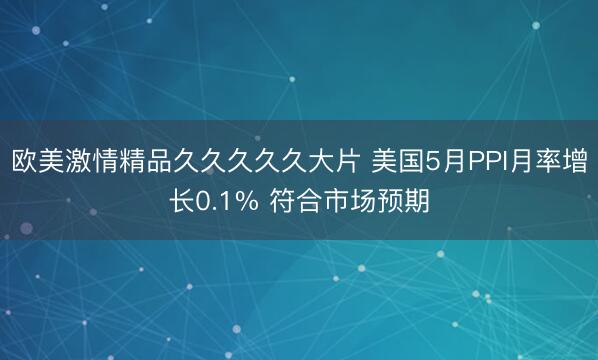 欧美激情精品久久久久久大片 美国5月PPI月率增长0.1% 符合市场预期