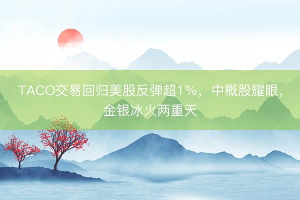 TACO交易回归美股反弹超1%，中概股耀眼，金银冰火两重天