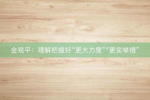 金观平：理解把握好“更大力度”“更实举措”