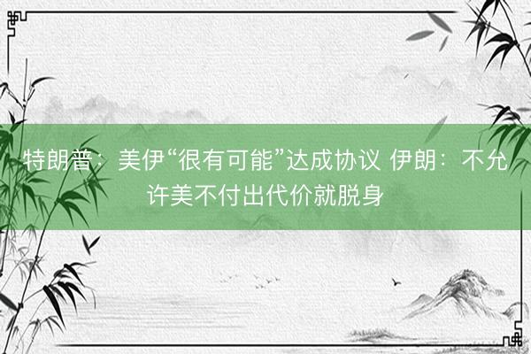特朗普:美伊“很有可能”达成协议 伊朗:不允许美不付出代价就脱身
