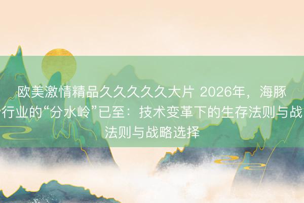 欧美激情精品久久久久久大片 2026年，海豚电动船行业的“分水岭”已至：技术变革下的生存法则与战略选择