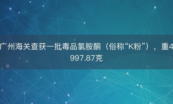 广州海关查获一批毒品氯胺酮（俗称“K粉”），重4997.87克