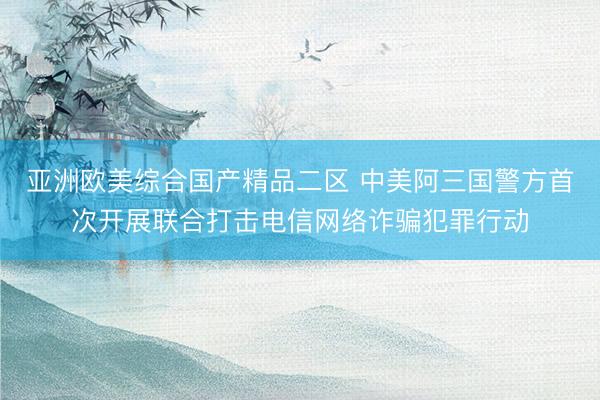 亚洲欧美综合国产精品二区 中美阿三国警方首次开展联合打击电信网络诈骗犯罪行动