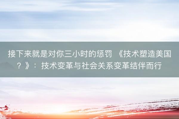 接下来就是对你三小时的惩罚 《技术塑造美国？》：技术变革与社会关系变革结伴而行
