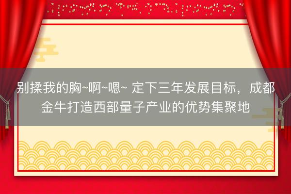 别揉我的胸~啊~嗯~ 定下三年发展目标，成都金牛打造西部量子产业的优势集聚地