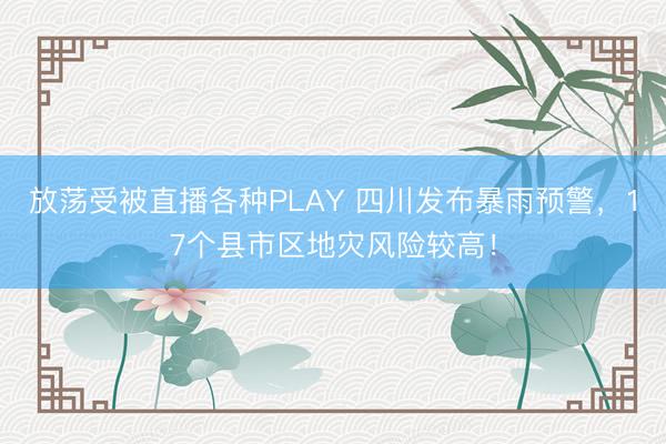 放荡受被直播各种PLAY 四川发布暴雨预警，17个县市区地灾风险较高！