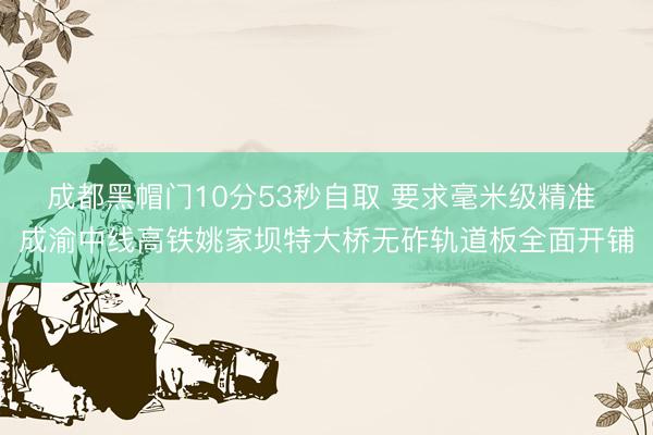 成都黑帽门10分53秒自取 要求毫米级精准 成渝中线高铁姚家坝特大桥无砟轨道板全面开铺