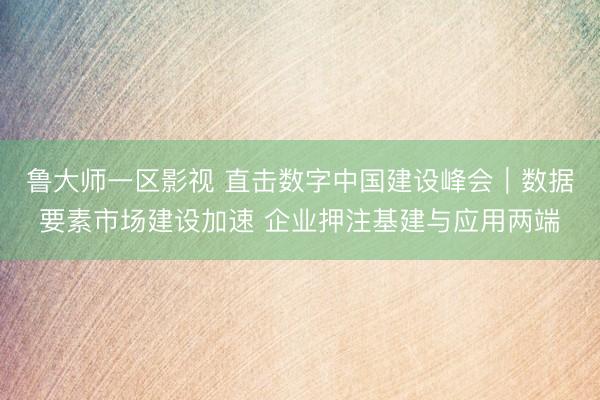 鲁大师一区影视 直击数字中国建设峰会｜数据要素市场建设加速 企业押注基建与应用两端