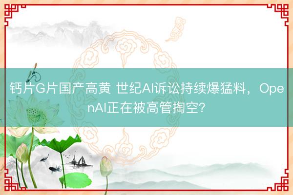 钙片G片国产高黄 世纪AI诉讼持续爆猛料，OpenAI正在被高管掏空？