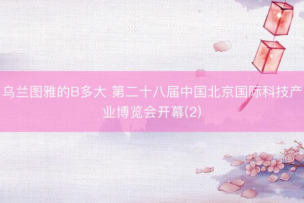 乌兰图雅的B多大 第二十八届中国北京国际科技产业博览会开幕(2)