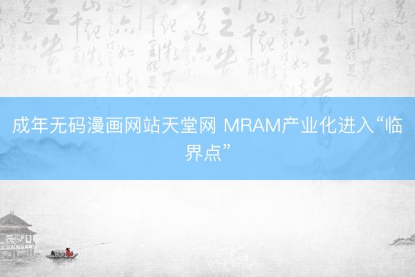 成年无码漫画网站天堂网 MRAM产业化进入“临界点”