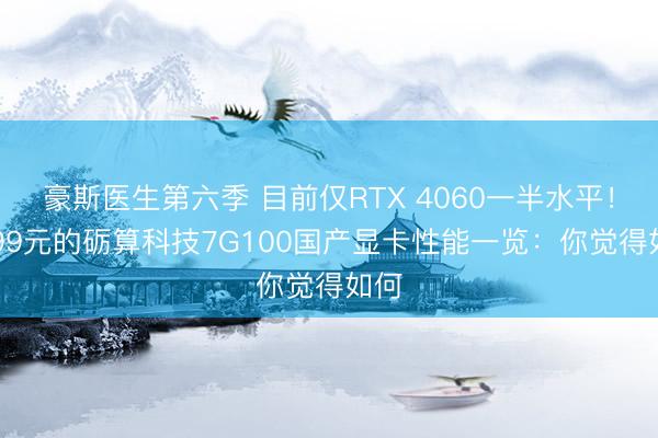 豪斯医生第六季 目前仅RTX 4060一半水平!3299元的砺算科技7G100国产显卡性能一览:你觉得如何