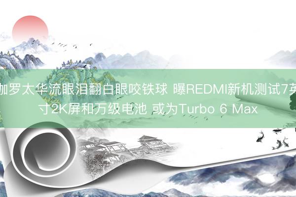 伽罗太华流眼泪翻白眼咬铁球 曝REDMI新机测试7英寸2K屏和万级电池 或为Turbo 6 Max