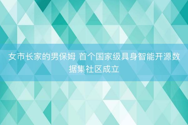 女市长家的男保姆 首个国家级具身智能开源数据集社区成立