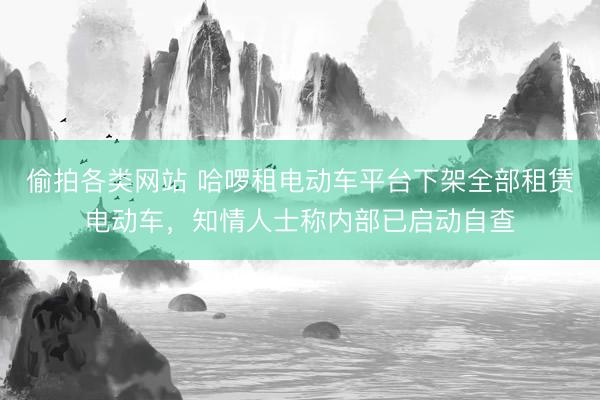 偷拍各类网站 哈啰租电动车平台下架全部租赁电动车，知情人士称内部已启动自查