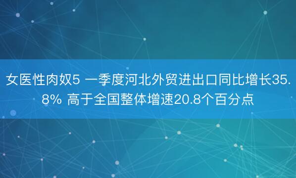 女医性肉奴5 一季度河北外贸进出口同比增长35.8% 高于全国整体增速20.8个百分点