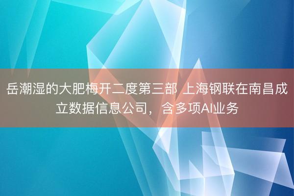 岳潮湿的大肥梅开二度第三部 上海钢联在南昌成立数据信息公司，含多项AI业务