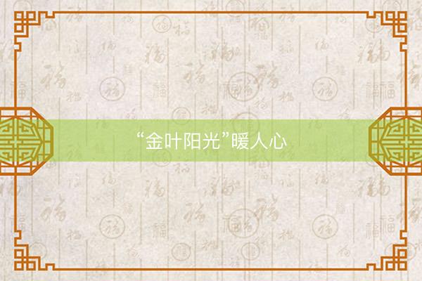 “金叶阳光”暖人心