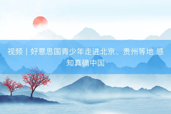 视频|好意思国青少年走进北京、贵州等地 感知真确中国