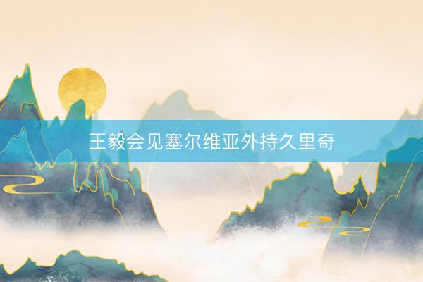 王毅会见塞尔维亚外持久里奇