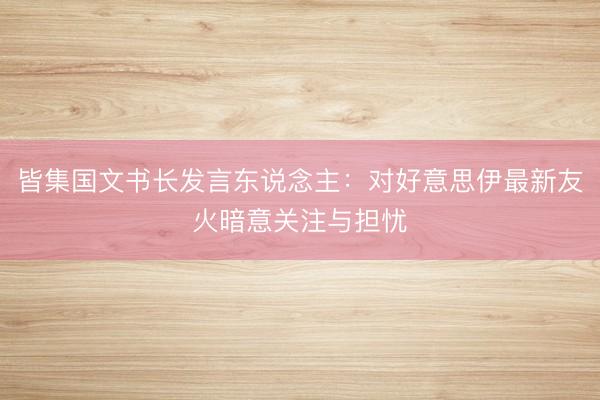 皆集国文书长发言东说念主：对好意思伊最新友火暗意关注与担忧