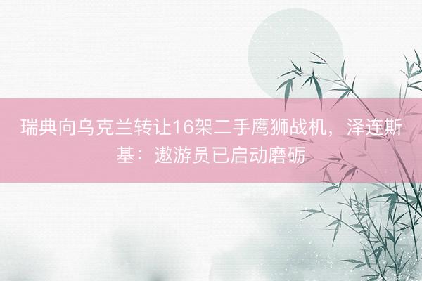 瑞典向乌克兰转让16架二手鹰狮战机，泽连斯基：遨游员已启动磨砺