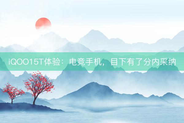 iQOO15T体验：电竞手机，目下有了分内采纳