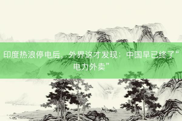 印度热浪停电后，外界这才发现：中国早已终了“电力外卖”