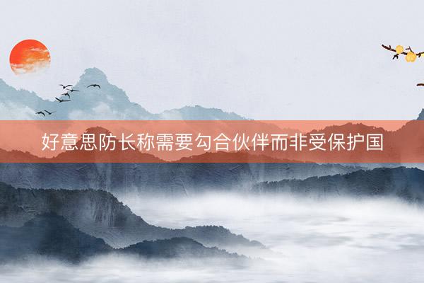 好意思防长称需要勾合伙伴而非受保护国
