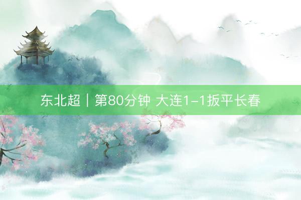 东北超｜第80分钟 大连1-1扳平长春