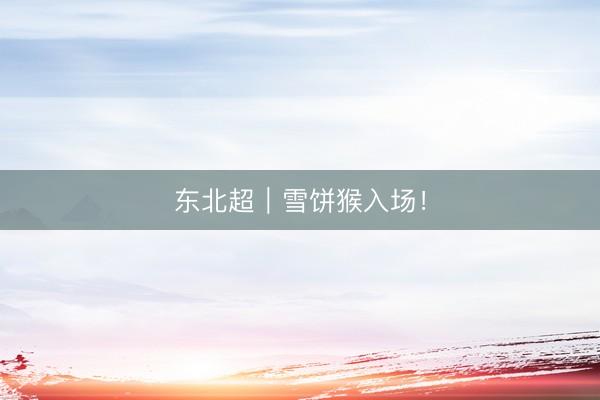 东北超｜雪饼猴入场！