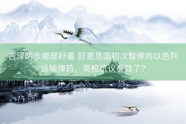 吉泽明步哪部好看 好意思国初次暂停向以色列运输弹药，高校抗议奏效了？