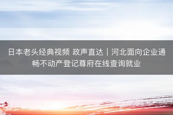 日本老头经典视频 政声直达｜河北面向企业通畅不动产登记尊府在线查询就业