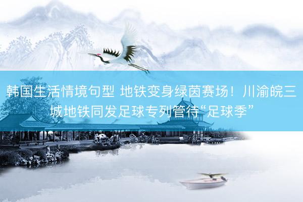 韩国生活情境句型 地铁变身绿茵赛场！川渝皖三城地铁同发足球专列管待“足球季”