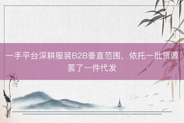 一手平台深耕服装B2B垂直范围,依托一批货源罢了一件代发