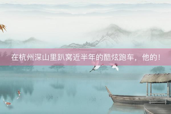 在杭州深山里趴窝近半年的酷炫跑车，他的！