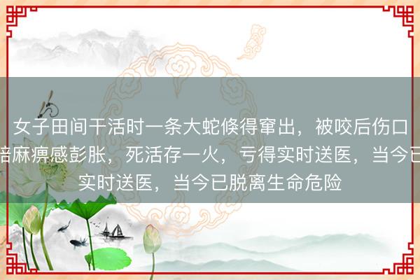女子田间干活时一条大蛇倏得窜出，被咬后伤口红肿疾苦，奉陪麻痹感彭胀，死活存一火，<a href=